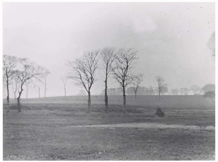 Craigentinny Meadows, photograph by David Sclater, 1895. On the horizon are the "Craigentinny Marbles" (tomb of William Henry Miller) and Wheatfield House on the present day Portobello Road. © Edinburgh City Libraries